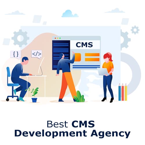 CMS Development Agency in Delhi NCR